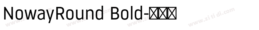 NowayRound Bold字体转换